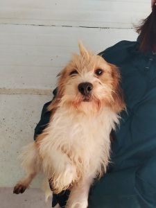 LULU2