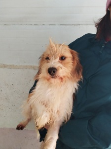 LULU3