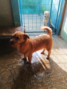 ROMEO1