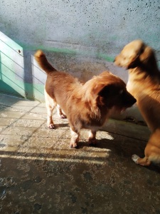 ROMEO3