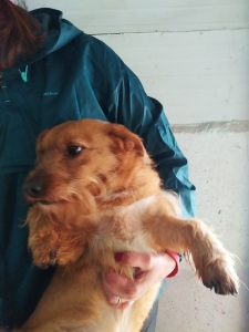 ROMEO8