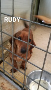 RUDY 2