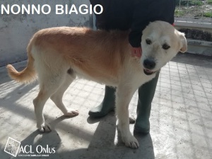 NONNO BIAGIO1