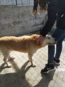 NONNO BIAGIO7