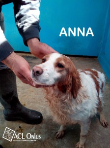 ANNA OK