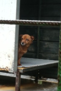 AddText_04-20-11.58.21
