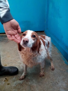 anna1