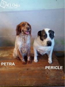PETRA PERICLE