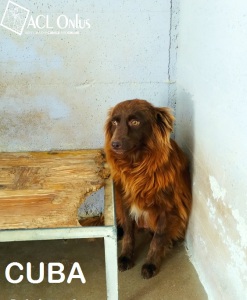 CUBA1