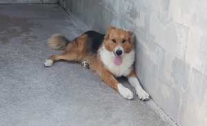 IMG-20200919-WA0065 (1)