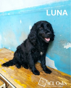 LUNA3 - Copia