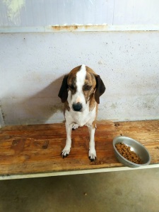 MINDY7