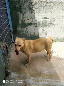 SELVA10