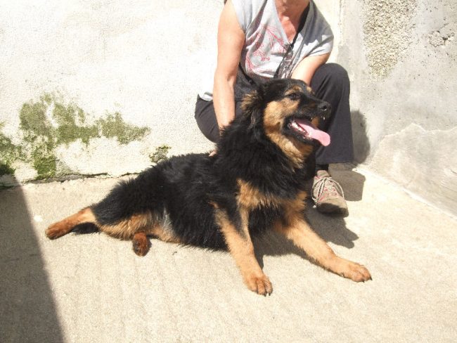 Talisa 8 maggio 2014 022