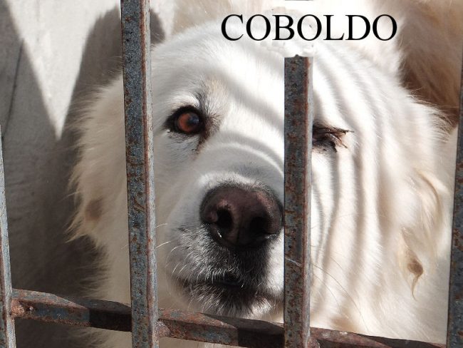Coboldo 28 ottobre 2014 205