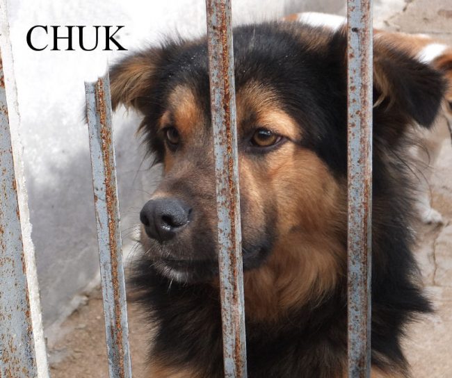 Chuk 28 ottobre 2014 263