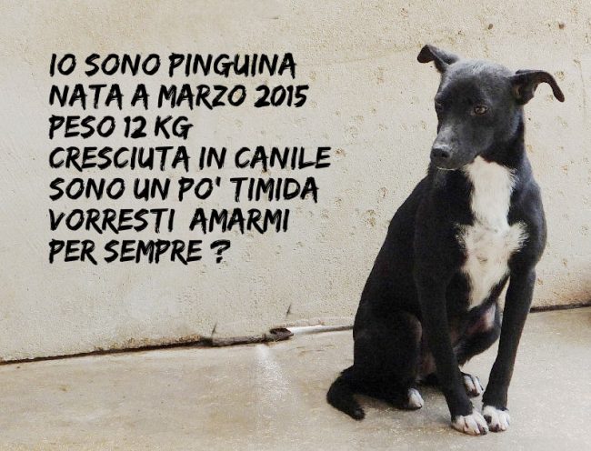 07 maggio 2016 235a