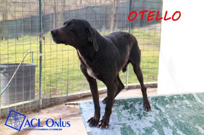 otello1
