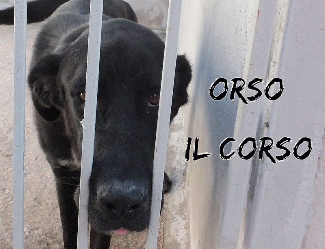 28 settembre 2016 019a