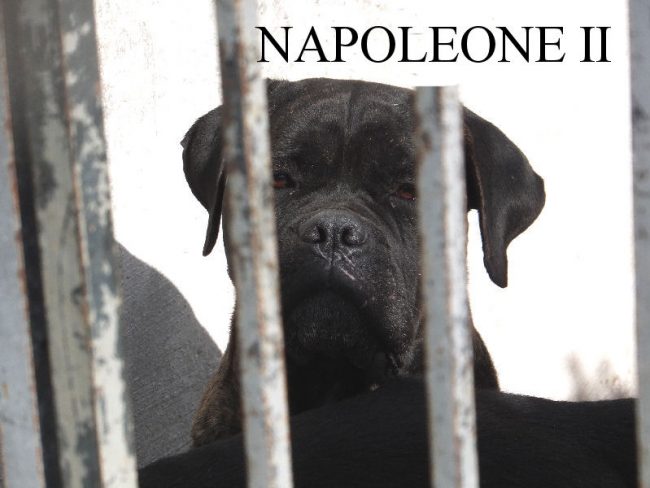 28 ottobre 2014 217