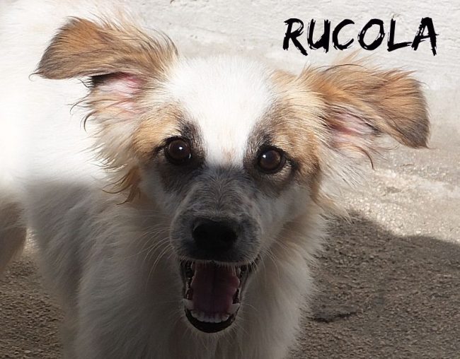 5 ottobre 2016 605