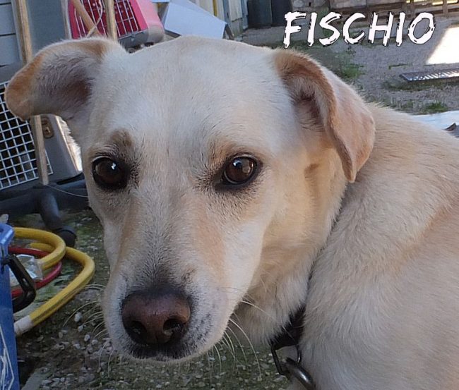 22 ottobre 2016 063a