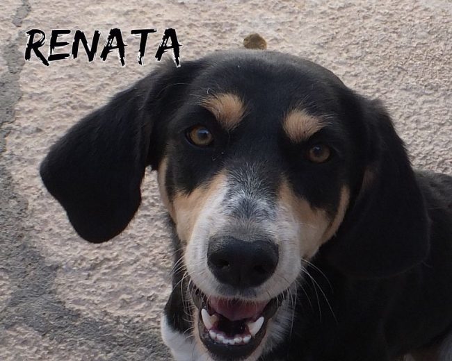 28 settembre 2016 390a