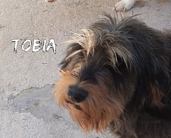 28 settembre 2016 614a