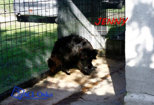 jenny1