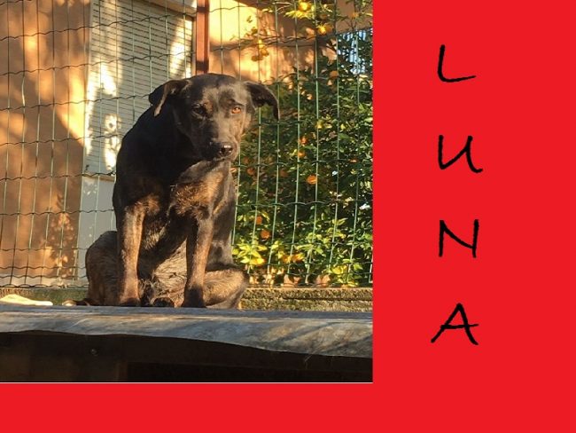 luna