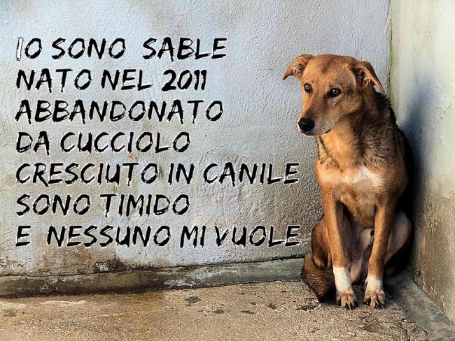 3 dicembre 2017 801
