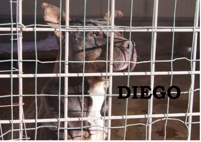 diego con nome