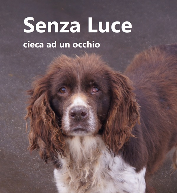 senza luce con nome