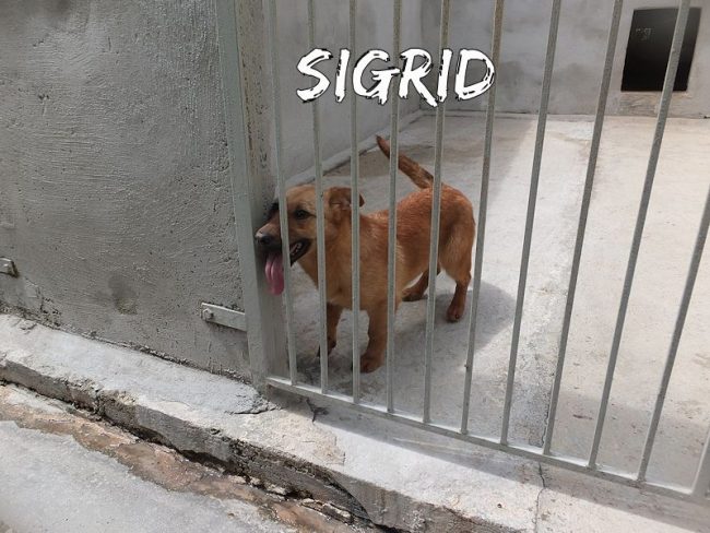 3 maggio 2017 854