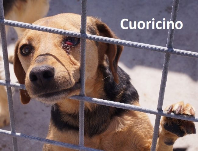 cuoricino con nome