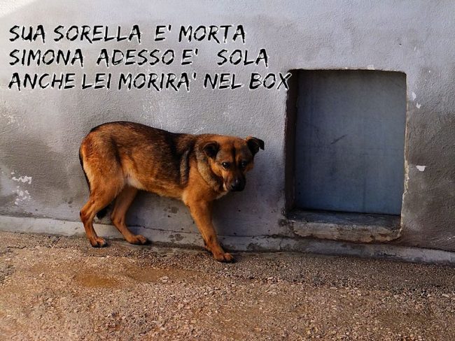 10 gennaio 2018 320