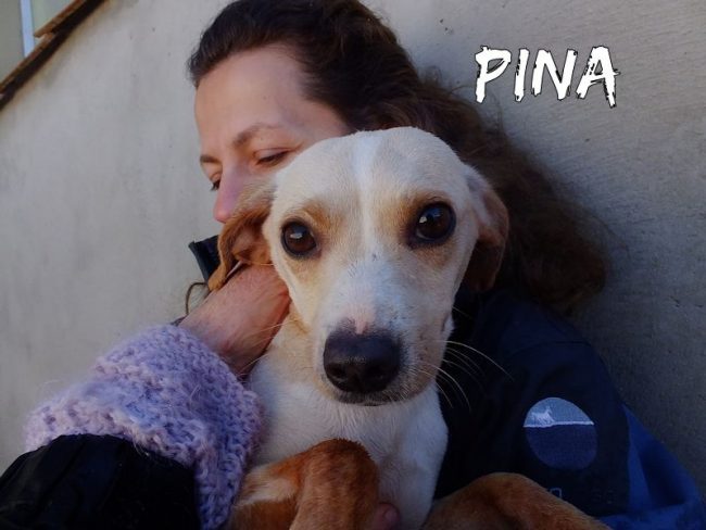 10 gennaio 2018 234
