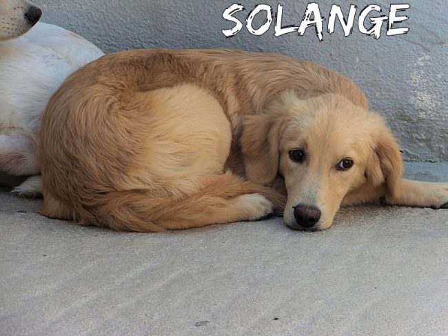 22 agosto 2017 502