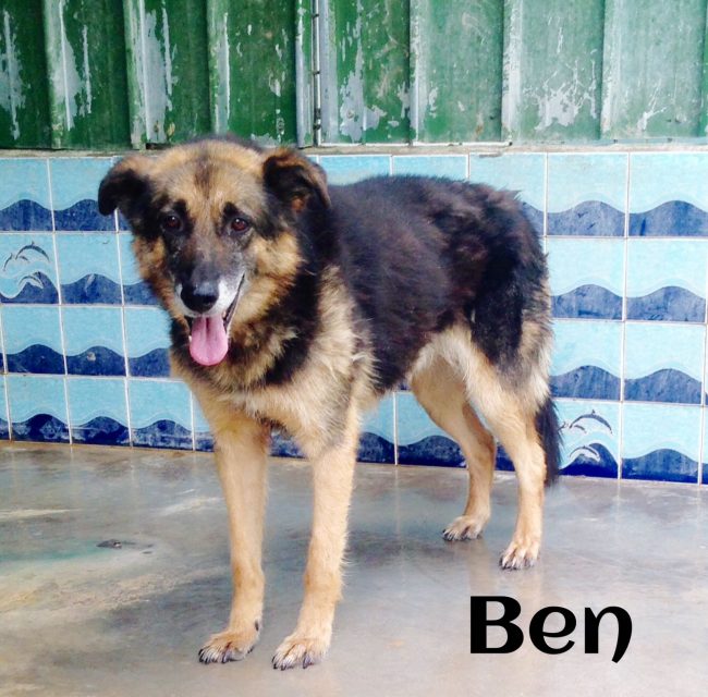 ben
