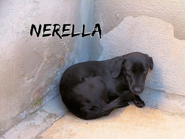 3 dicembre 2017 421