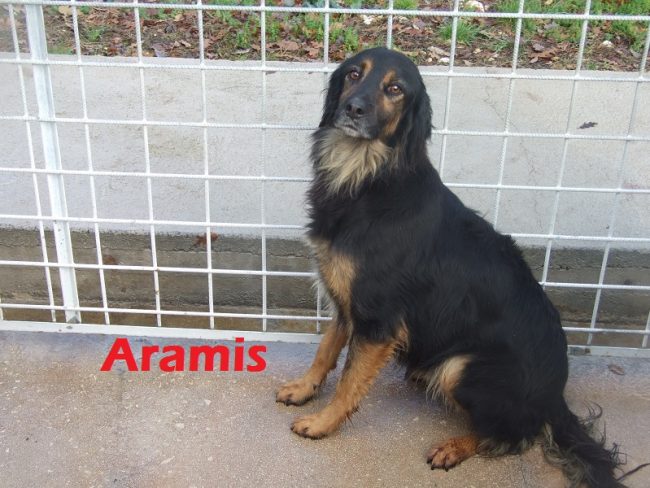 ARAMIS