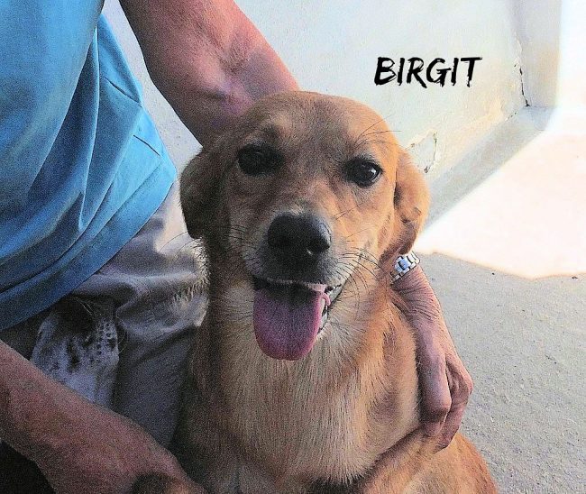 11 sette,bre 2018 421