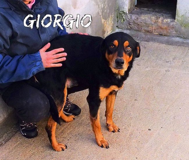 25 gennaio 2018 464s