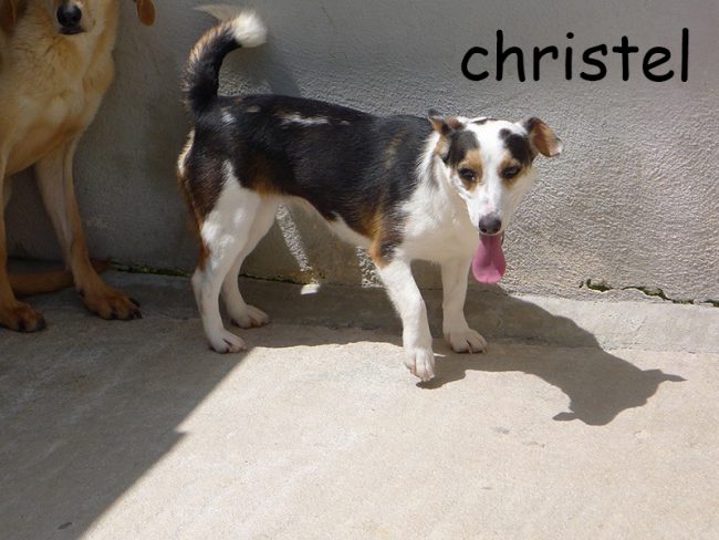 christel