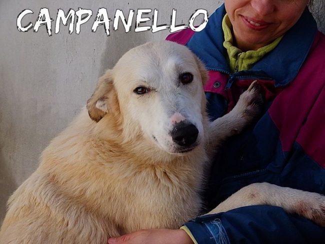 8 marzo 2018 695