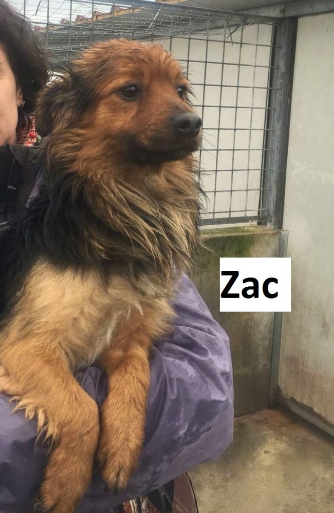 zac con nome