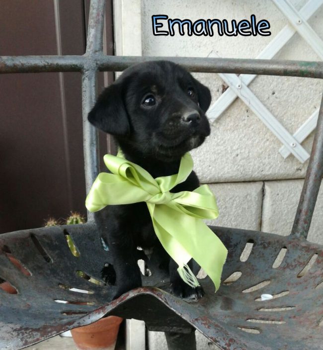 Emanuele 4