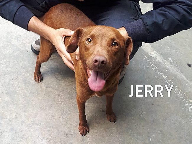 Jerry 03A