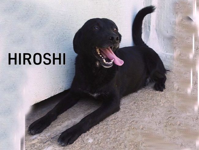 HIROSHI3