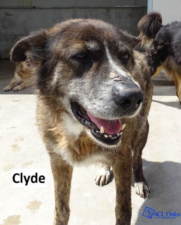 Clyde logo